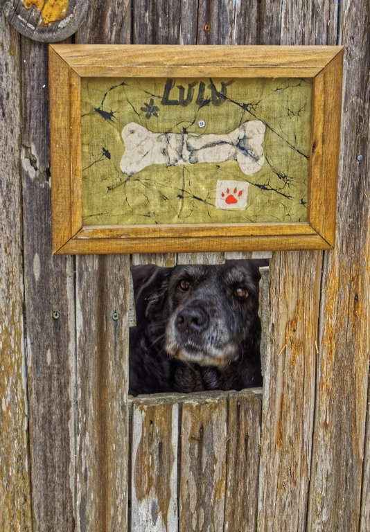 Lulu Goldbeck Smiling at Neighbors